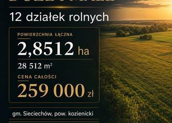 Grunty rolne 2,8512 ha – 12 działek – Mozolice, gm. Sieciechów