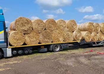 Sprzedam słomę sucha z pod dachu