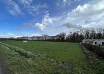 Działka 5600m2 Suserz