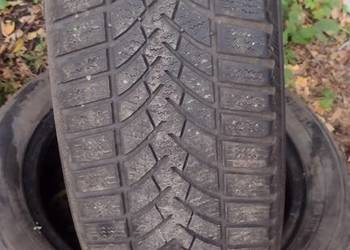 2x195.50.15 semperit zima