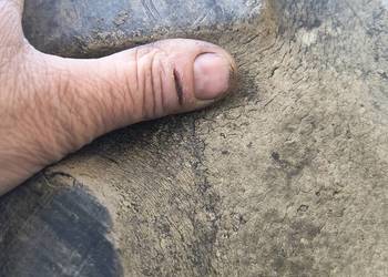 Opony 14,9-28 do c360