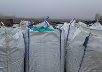 Kukurydza mielona Big Bag