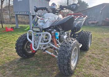 Quad 250 eagle [bashan, shineray]