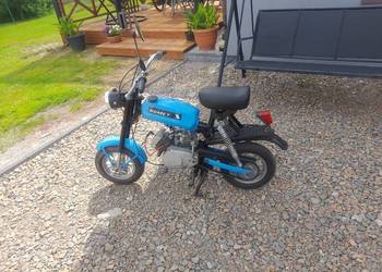 Motorynka