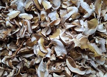 Grzyby suszone  prawdziwek