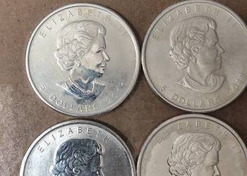 Srebrna monety ,,maple leaf''