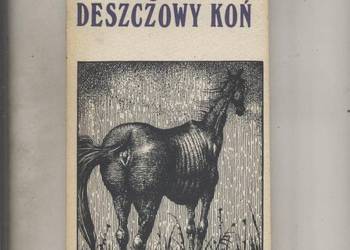 Deszczowy koń - Hughens Deszczowy koń - Hughens