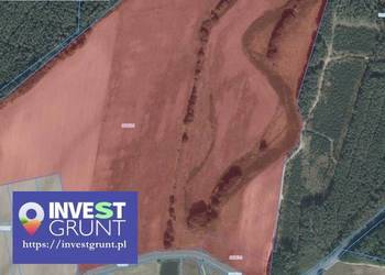 [18,43 ha] przetarg na dzierżawę gruntów rolnych