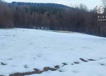 Działka budowlana w otulinie drzew 57 a – Siary, gm. Sękowa 1176S/2026