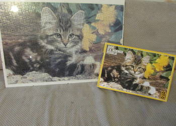 puzzle kot kotek 1000 elemantów
