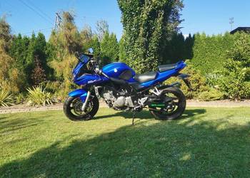 Suzuki sv 650s A2 2007 50kkm