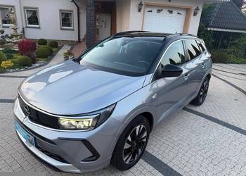 Opel Grandland X 1.5 D Start/Stop Automatik Business Edition 130KM 2023r