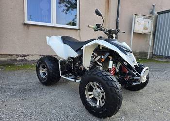 Quad Egl Mad Max 250cc 300cc 5+1r Duża Rama Zarejestrowany!