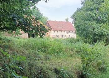Zabytkowy dom szachulcowy (ryglowy) 150 m² na działce 2900 m² pod lasem.