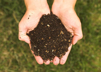 ziemia ogrodowa uniwersalna luz w workach