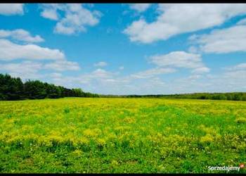 działka mazury