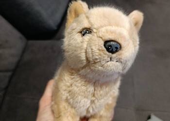 Pluszak piesek następny maskotka