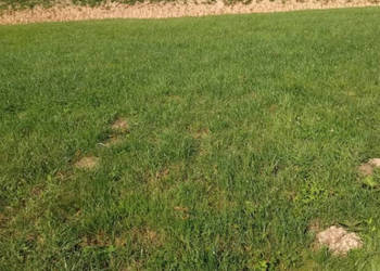 Działka budowlana z WZ 19,39 ara Rzeszów boczna Dębickiej