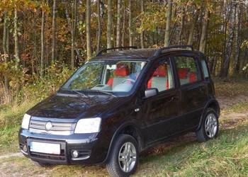 Fiat Panda 4x4 wersja Cross Climbing City