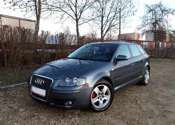 Bardzo fajne, doinwestowane Audi A3 Sportback 2.0Tdi BMM 8V