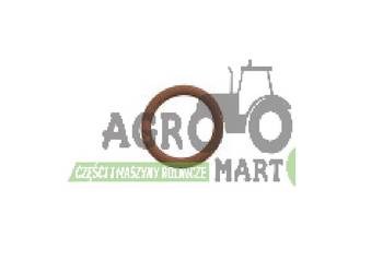 14462981, 87050S96, 83913201, 14462980, 70929217 ORING CNH