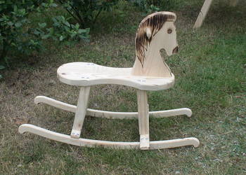 Konik na biegunach