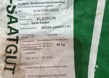 Owies ozimy (zimowy) Fleuron Owies ozimy (zimowy) Fleuron