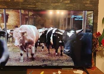 Witam posiadam na sprzedaż telewizor Sharp