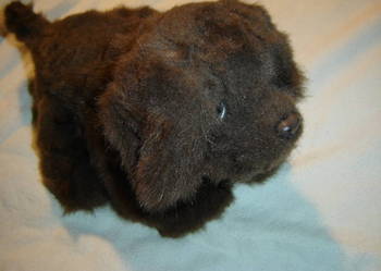 Interaktywny piesek Hasbro Fur Real