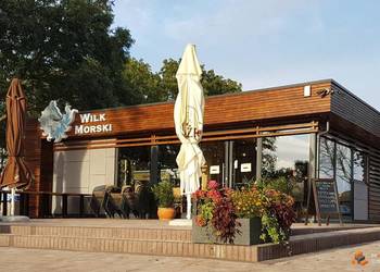 Pawilon handlowy, kontener gastronomiczny, restauracja 180m2
