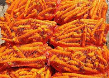 Warzywa pietruszka marchew ziemniaki Warzywa pietruszka marchew ziemniaki