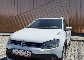 Polo cross