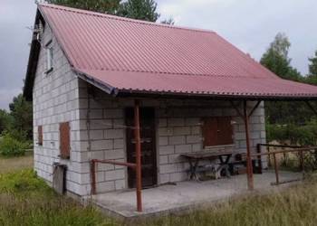 Działka 1000 m² z domkiem letniskowym | Ogrodzona | Woda, prąd | Kołoniec