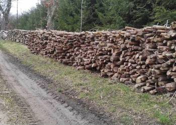 drewno sezonowane papierówka, Modrzew, Olcha, Brzoza, Sosna 2.5m
