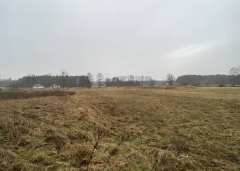 Atrakcyjne działki budowlane w Białym Borze