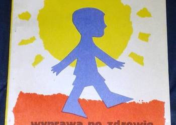 Wyprawa po zdrowie - Irena Krzeska