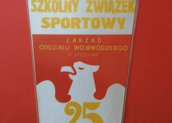 ( 284 ) Proporczyk Szkolny Związek Sportowy