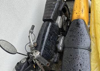 Jawa mustang