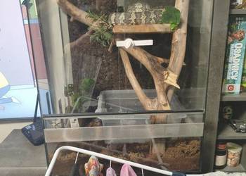 Terrarium 80x50x55 z wyposażeniem