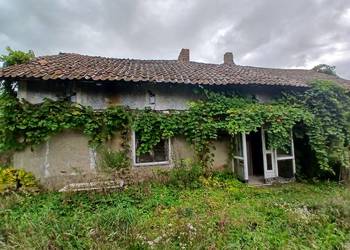 Dom (114 m²) i budynki gospodarcze na dużej działce (7 888 m²) – malownicza