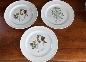 Talerzyk Flora Danica Lise Porcelain. 1980. Borówka