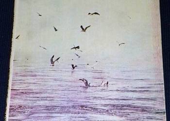 Szkice do oceanu - Zbigniew Jankowski