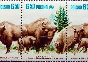 Znaczki polskie rok 1981 Fi 2608 - 2612 pasek