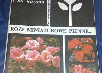 Do ogródka i do wazonu - Helena Wiśniewska - Grzeszkiewicz