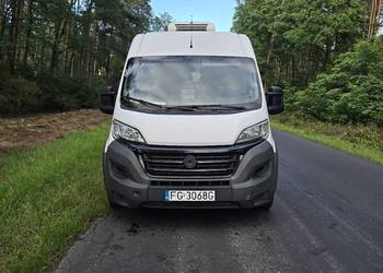 Fiat Ducato 2.3 Mutijet 2016r chłodnia FV23%