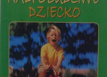 TWOJE NADPOBUDLIWE DZIECKO - SERFONTEIN GORDON
