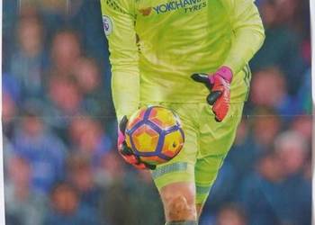PLAKATY - COURTOIS THIBAUT - WYPRZEDAŻ ŚWIAT PLAKATÓW