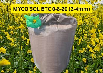 MYCO'SOL BTC 0-8-20 (2-4mm) BB nawóz pod rzepak