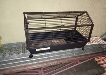 Klatka dla królika, świnki morskiej