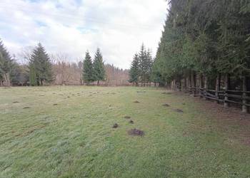 Działka pod zabudowę z dostępem do rzeki Załuż, gmina Sanok